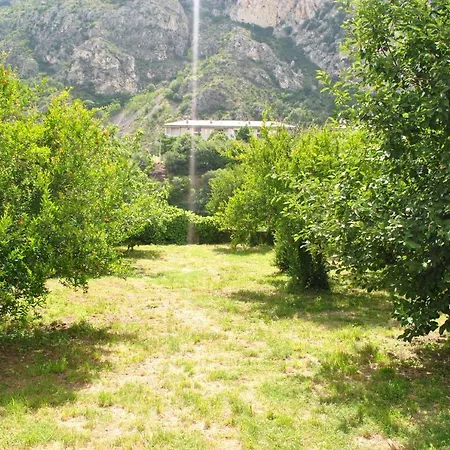 Zen Mostar
